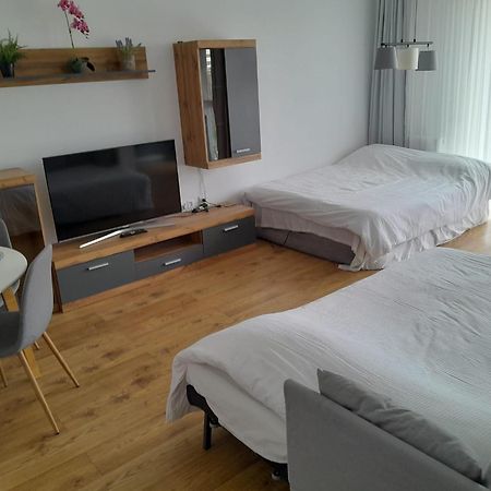 Coresi, 2 Camere, Sleeps 6 Large Private Garden Apartment Pets Welcome Брашов Екстериор снимка