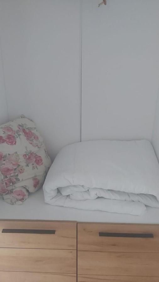 Coresi, 2 Camere, Sleeps 6 Large Private Garden Apartment Pets Welcome Брашов Екстериор снимка